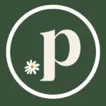 P for Play Daisy Logo