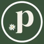 Life at Play Submark